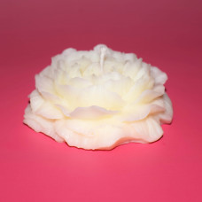 Olivenwachskerze Pfingstrose – Handgegossene Kerze aus natürlichem Wachs