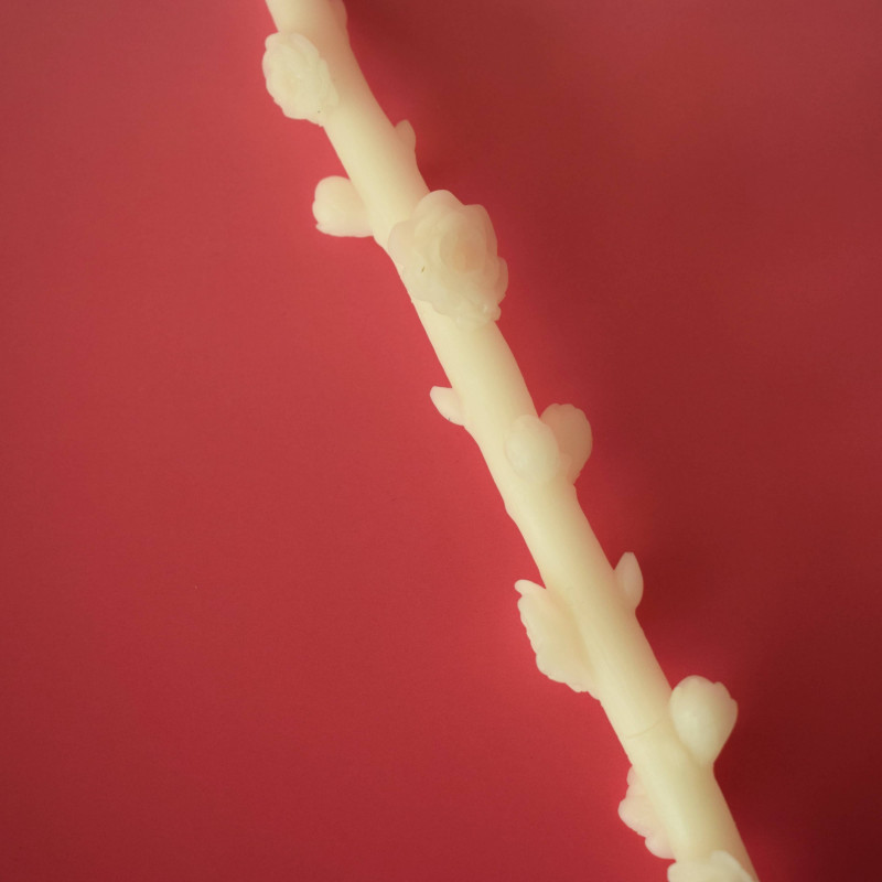 Bienenwachskerze Blütenknospen