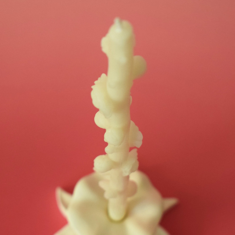 Kerzenset Zärtlichkeit 